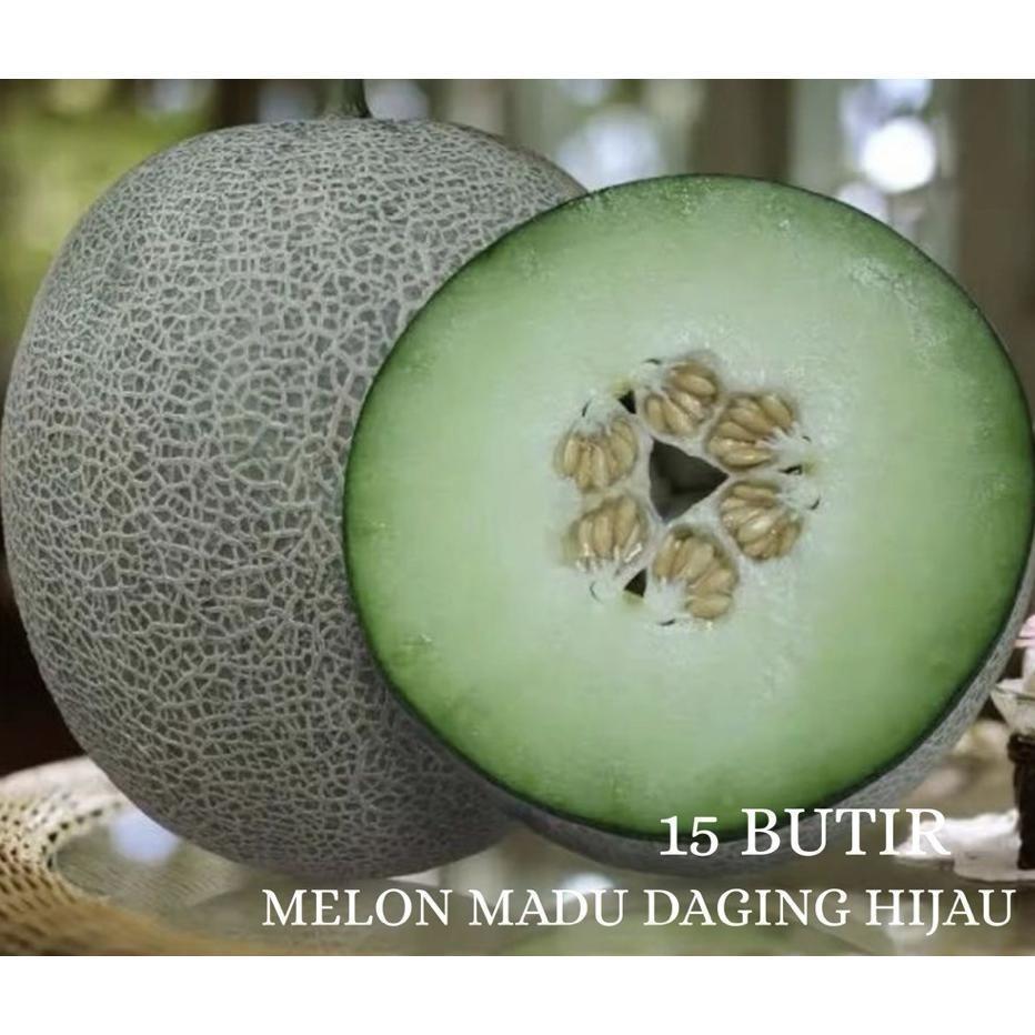 15 Biji> Benih Bibit Melon Madu HIJAU