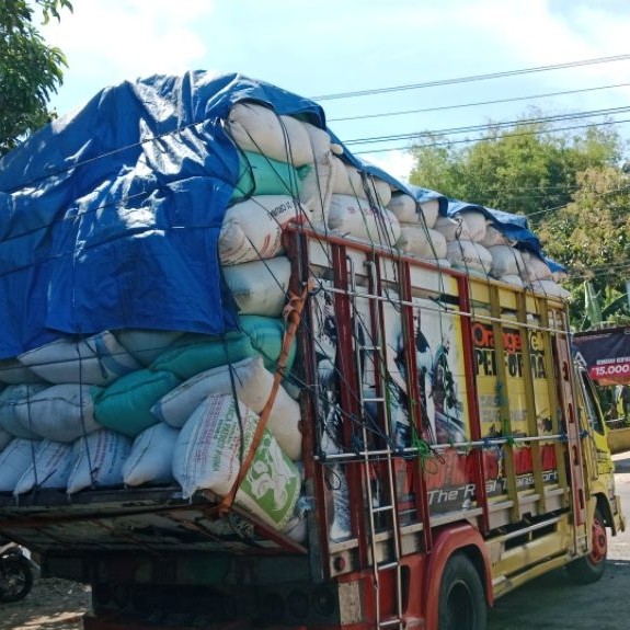 sekam padi/merang
