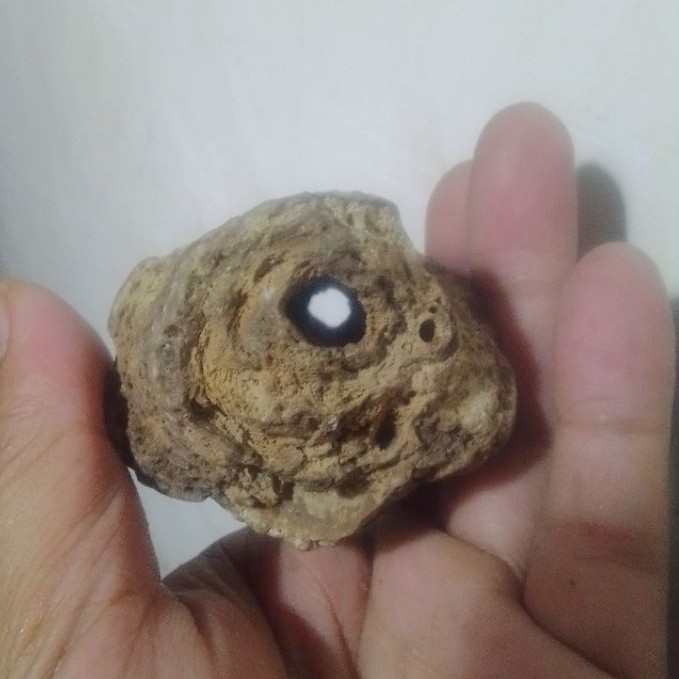 batu unik antik po sil kayu jati combong alami