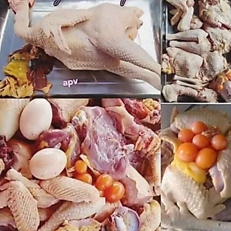 Ayam Petelur Ayam Merah 1 Ekor Potong Hidup