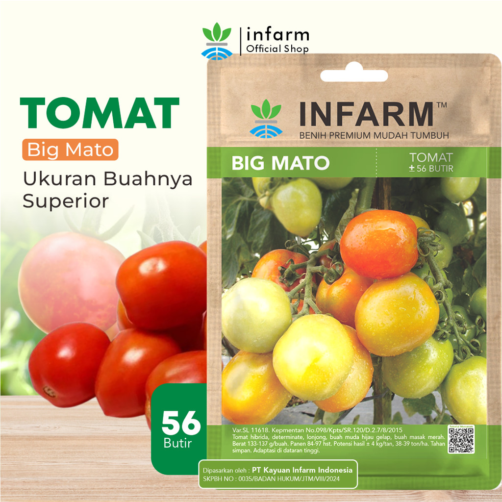 INFARM - Bibit Tomat Big Mato Hibrida Unggul Benih Buah Tomat Besar Bibit Buah Tomat F1 Premium