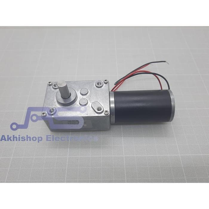 Permanent Magnet Worm Gear Motor DC 4058GW31ZY 24V 40RPM