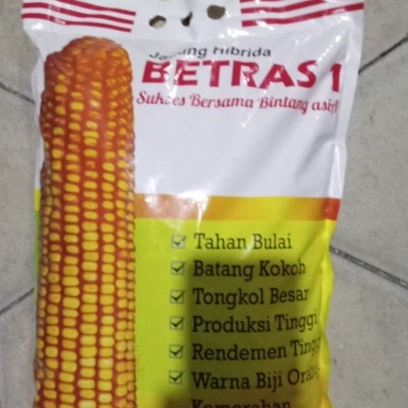 Benih jagung  hibrida Betras 1