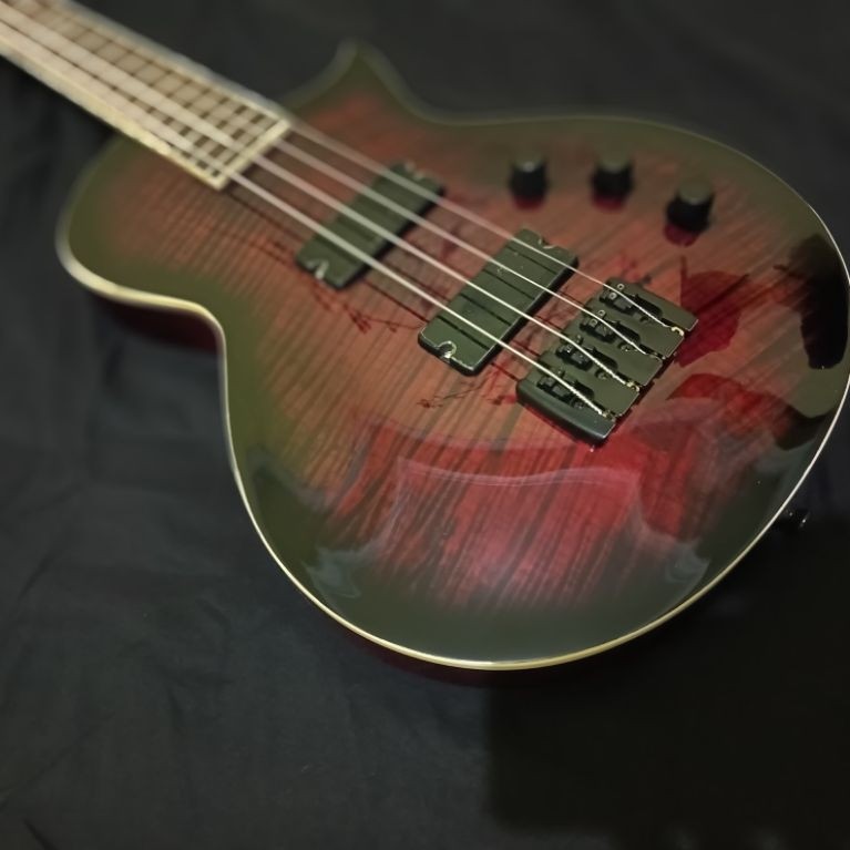 Bass model LTD body neck original