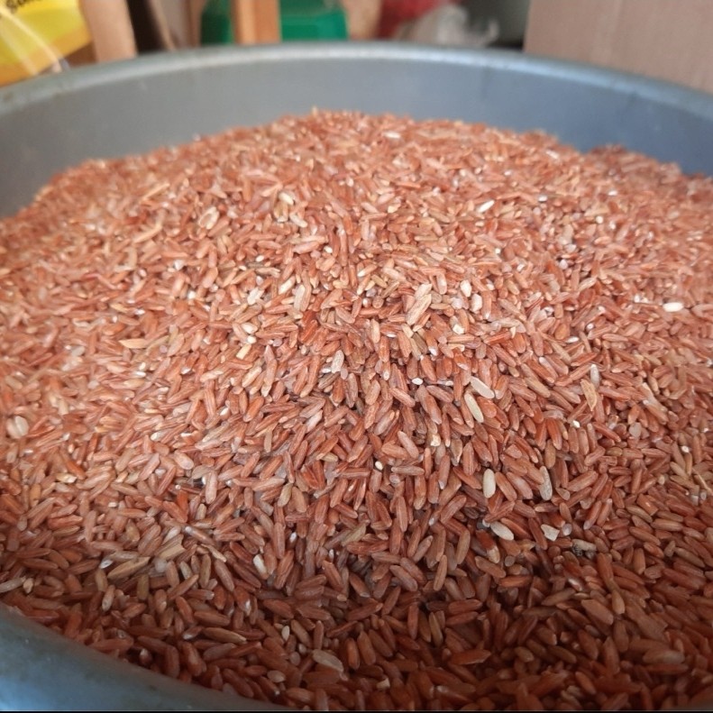 beras merah pecah kulit unggul
