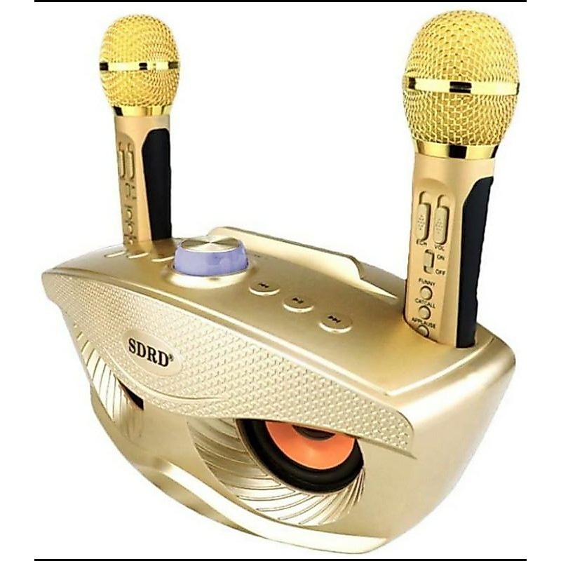 SPEAKER FLECO GRATIS MIC WERLESS SDRD 306 MIC DOBLE KAROAKE