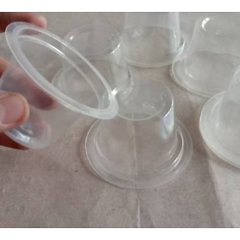 Cup agar-agar srikaya