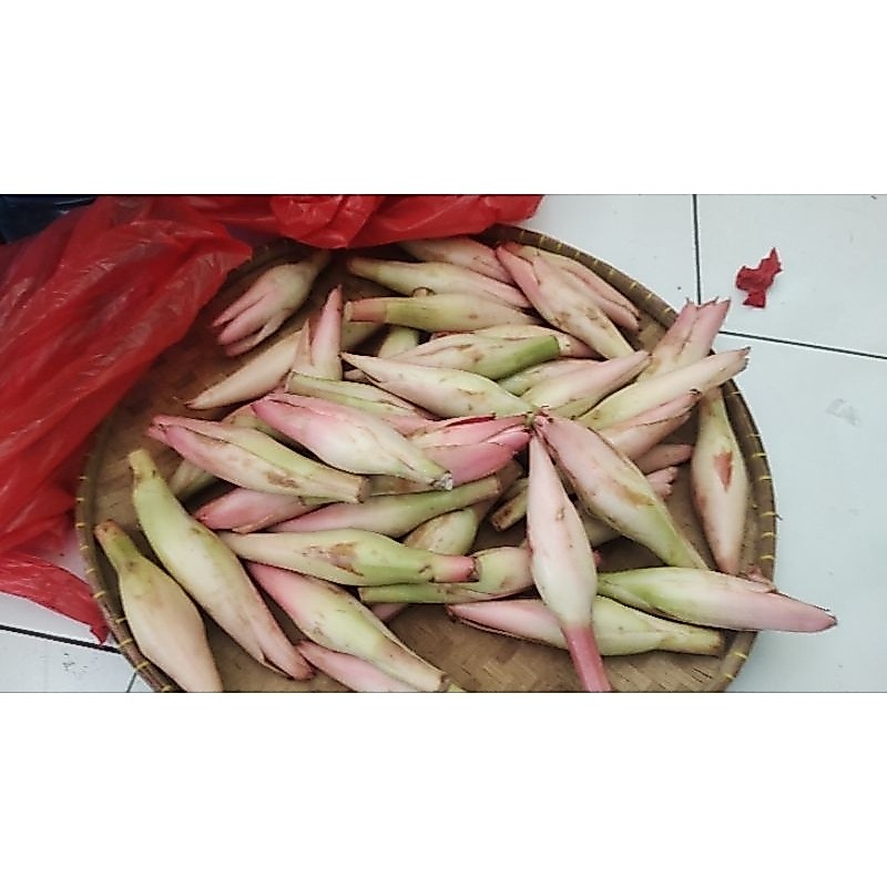 kecombrang  1/2 kg