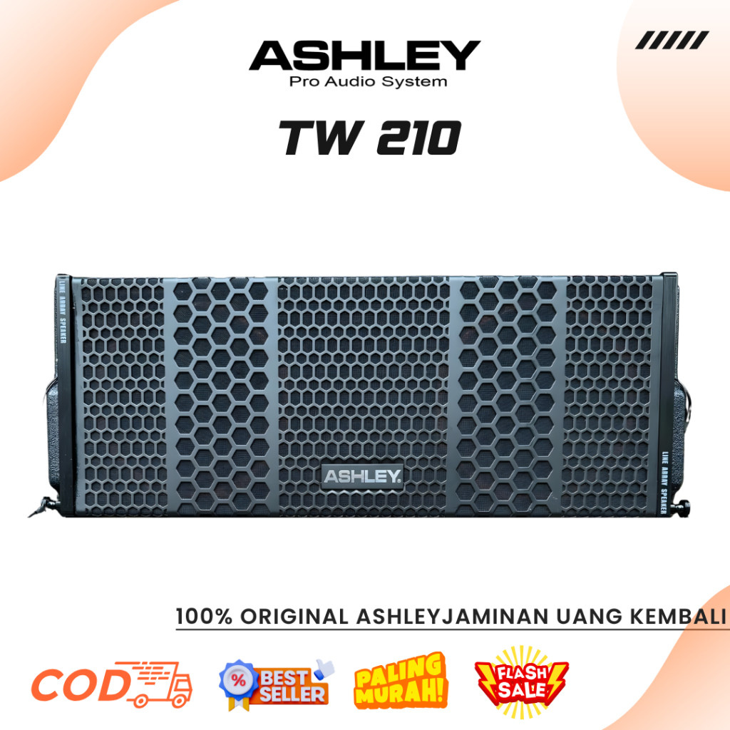 Line Array Ashley TW 210 LA I Line Array Ashley TW 208 LA Professional Line Array Speaker