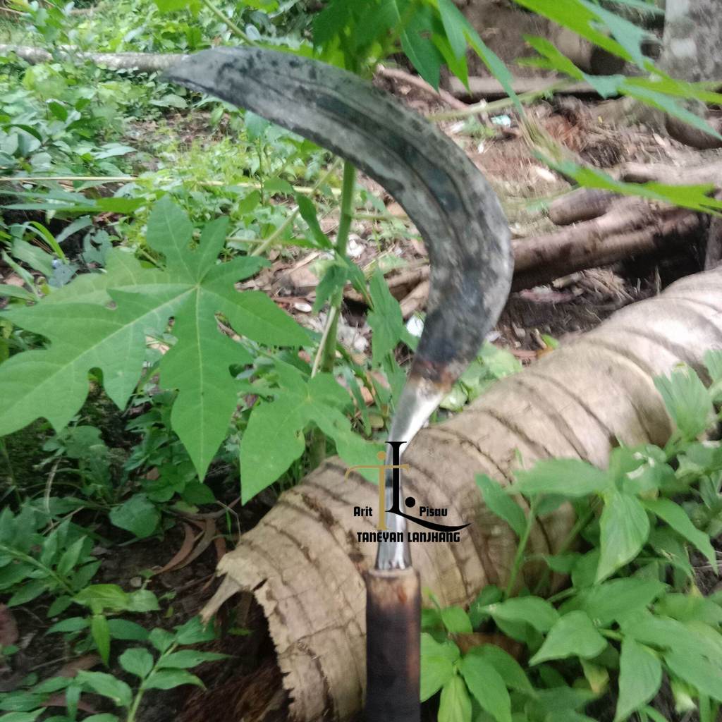 Arit baja isen cap tiga bintang tajam tanpa diasah langsung pakai gagang hitam arit baja isen Madura