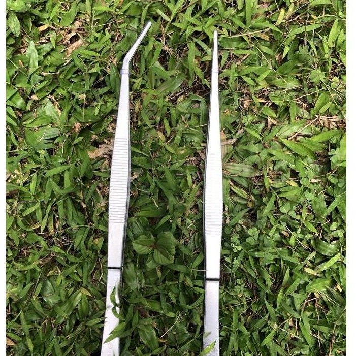 Afterday- Pinset Aquascape / Pinset Tanaman Aquascape Panjang