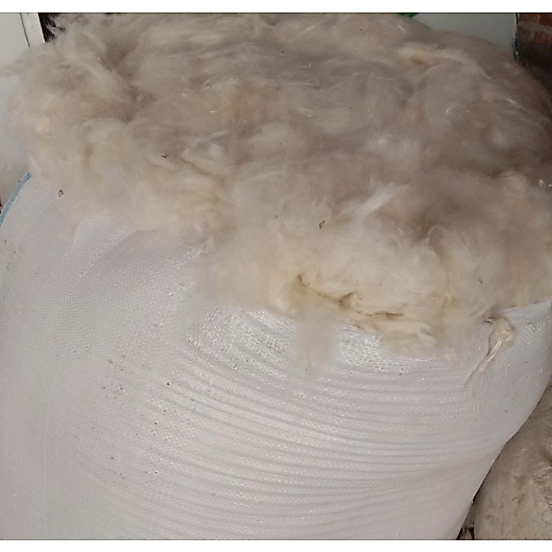 kapuk bantal kapuk randu asli kapuk randu tanpa biji  1/2kg kapuk kasur kapuk isi bantal kapuk kapuk