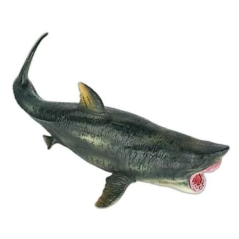 Figure Shark Megalodon Jurassic Park Jaws Megalodon Figure