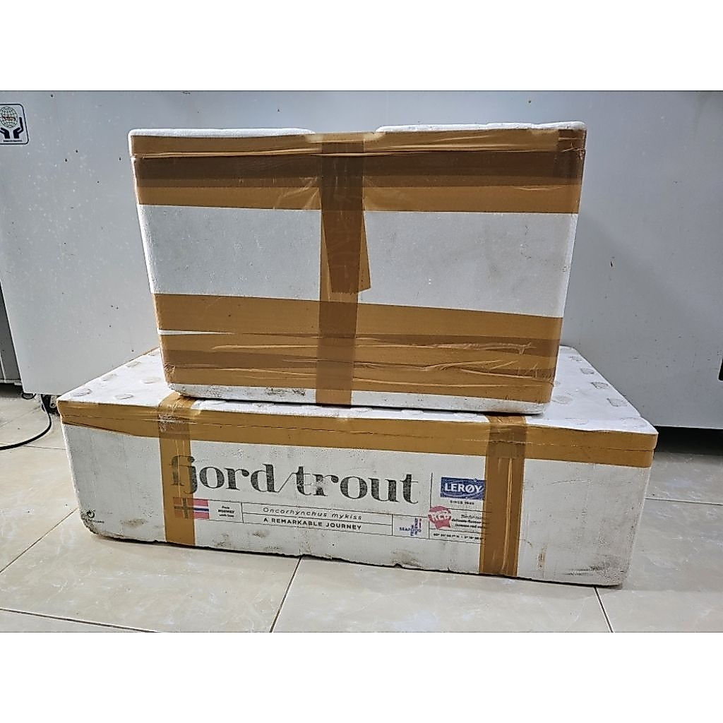Kotak Sterofoam, Box Styrofoam Bekas
