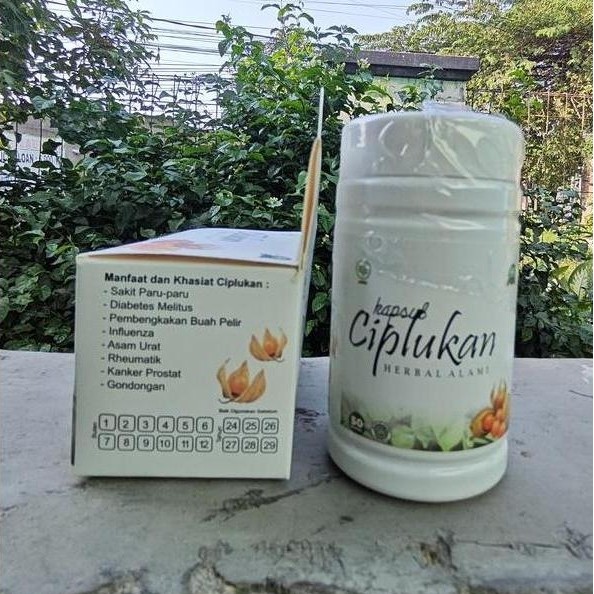 Zerox- Ciplukan Obat Stroke Ampuh Terbukti Herbal Suplemen Untuk Terapi Saraf Dan Otak Isi 50 Kapsul