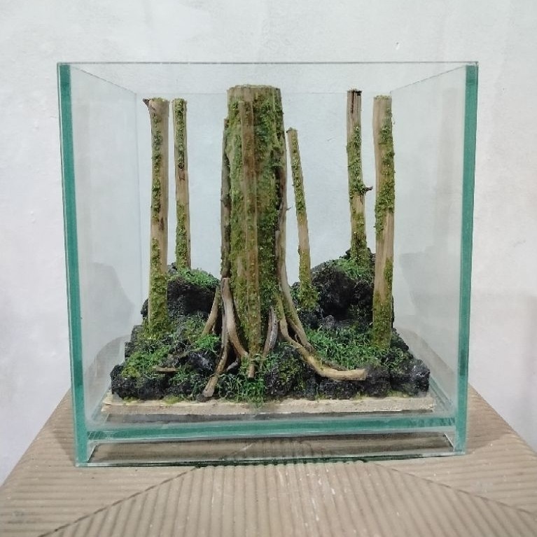 Aquascape jungle/Aquascape Hutan/Aquascape sintetis
