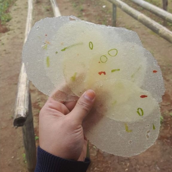1kg enye/opak singkong khas sukabumi original