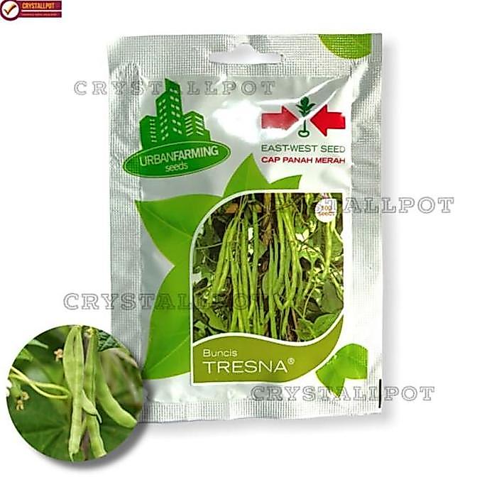 Huayuan- Benih Bibit Buncis Tresna Cap Panah Merah - Buncis Tresna East West Seed