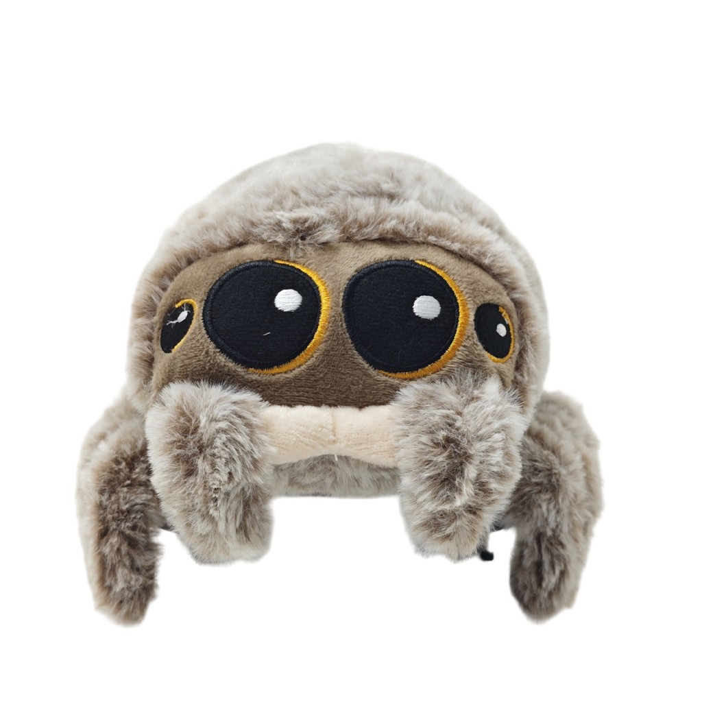 Lucas's friend is a plush toy spider doll