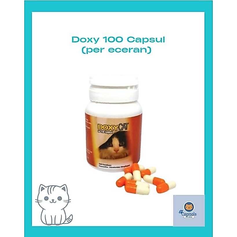 DOXY CAT Antibiotik Flu, Demam, dan Batuk Kucing DoxyCat ECER