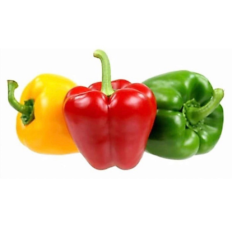 Paprika 3 Warna Paprika Merah Paprika Hijau Paprika Merah