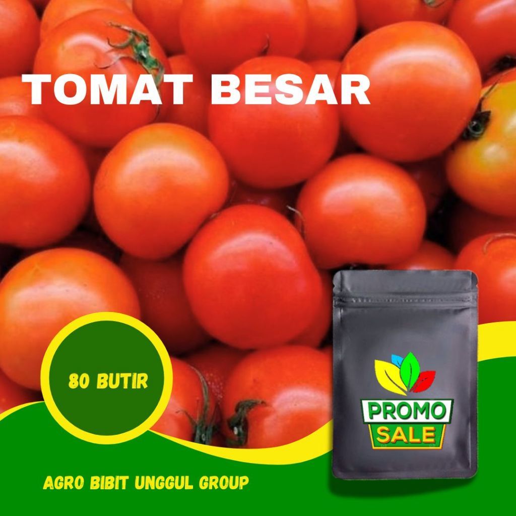 Benih Tomat Besar Merah isi ± 80 Benih