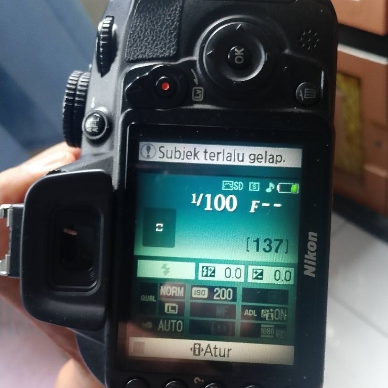 Nikon d3100 mulus + lensa kit