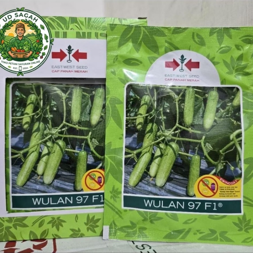 Benih Timun Wulan 97 F1 isi 800 Butir