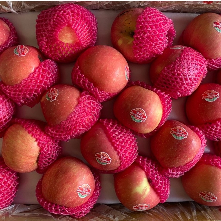 Buah apel fuji merah manis / buah apel import