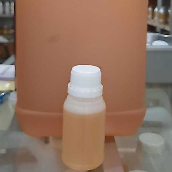 MYKONOS CALIFORNIA CLUEB BIBIT PARFUM MURNI 100 ML