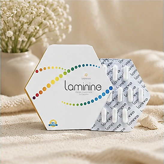 Suplemen Nutrisi Untuk Menjaga Stamina LAMININE Kapsul