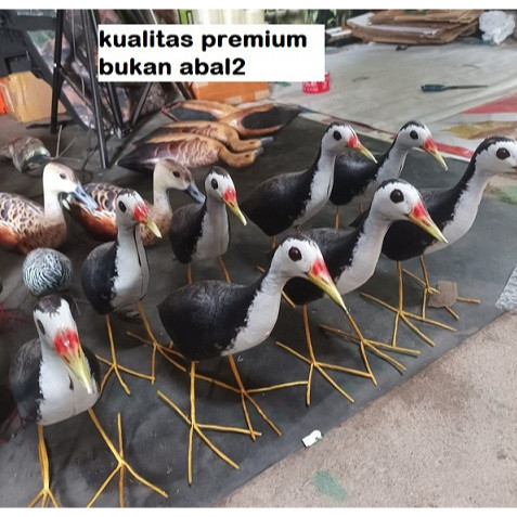 DECOY RUAK2 PATUNG BURUNG KAREO PADI MIRIP ASLI TAHAN PENYOK KUALITAS PREMIUM JONTROT MANUK RUAK