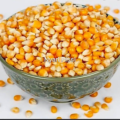 Termurah-Jagung Popcron Grade A /  Jagung Popcron Mentah