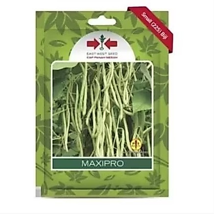 Benih Bibit Buncis Buncis maxipro Panah Merah Isi 225 Biji