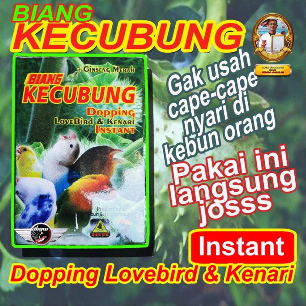 BIANG KECUBUNG + GINSENG MERAH  Dopping Burung Instan Lovebird Kenari Gacor Cepat Durasi Panjang