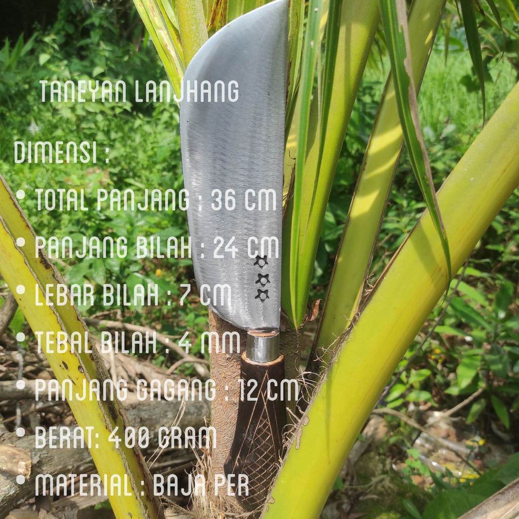Bodeng madura asli gagang hitam ukiran / pisau pemotong ayam tajam / bodeng kecil / pisau baja per a