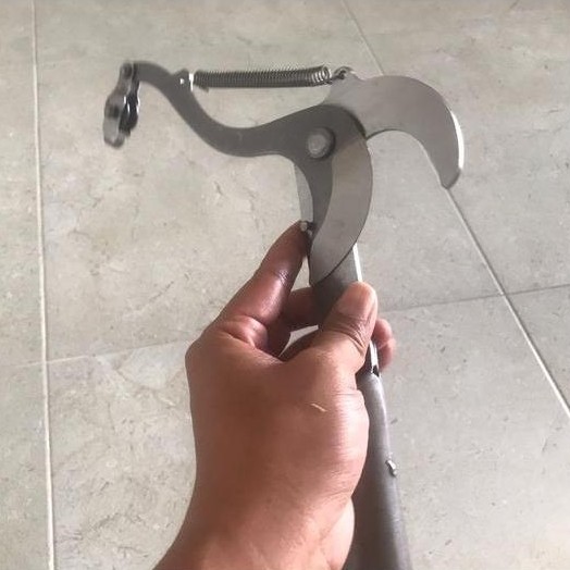 Gunting Dahan Pohon Ranting Pruning Tinggi - Sabit Mini Arit Kecil Terlaris