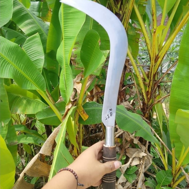 sabit padi baja bintang sembilan