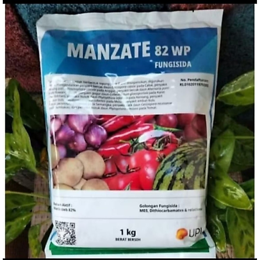 MANZATE 82 WP 1 KG