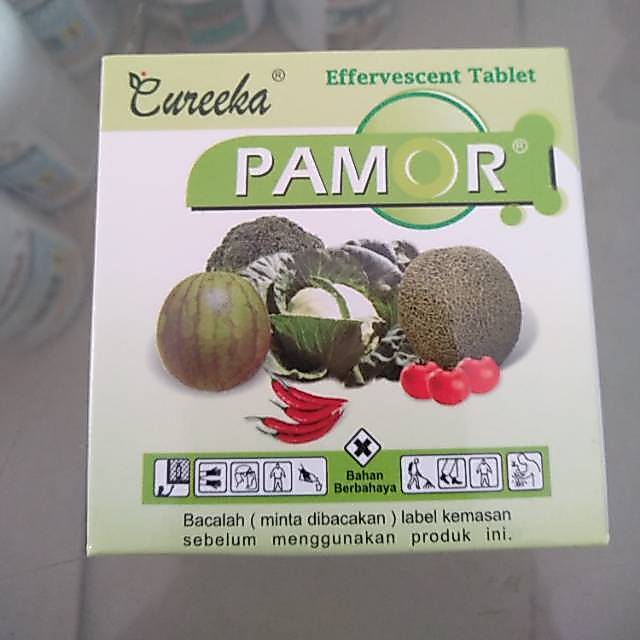 Zat pengatur tumbuh Pamor ,  isi 1 tablet(Gibrellin Acid)