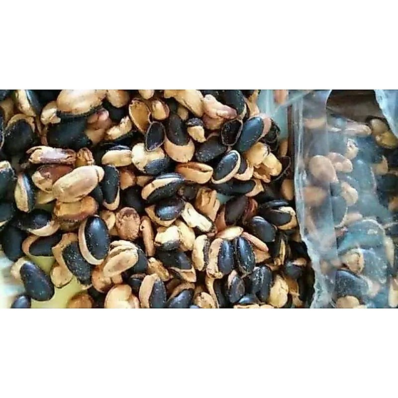 Mindik / Kedawung /Kacang Sengon Sangrai