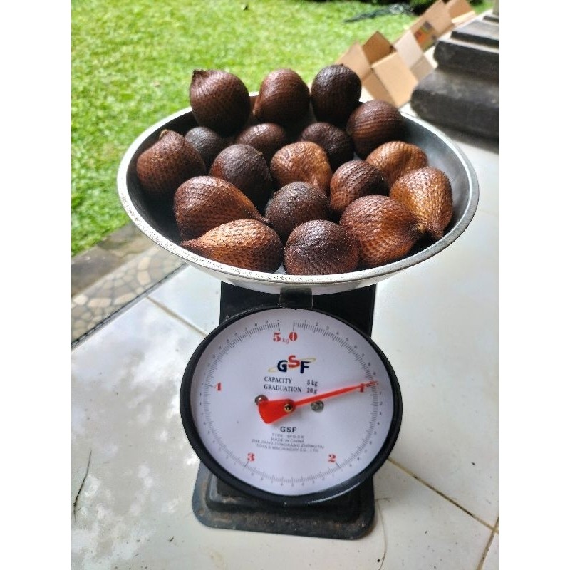 Salak Bali Asli Ukuran Kecil (1Kg)