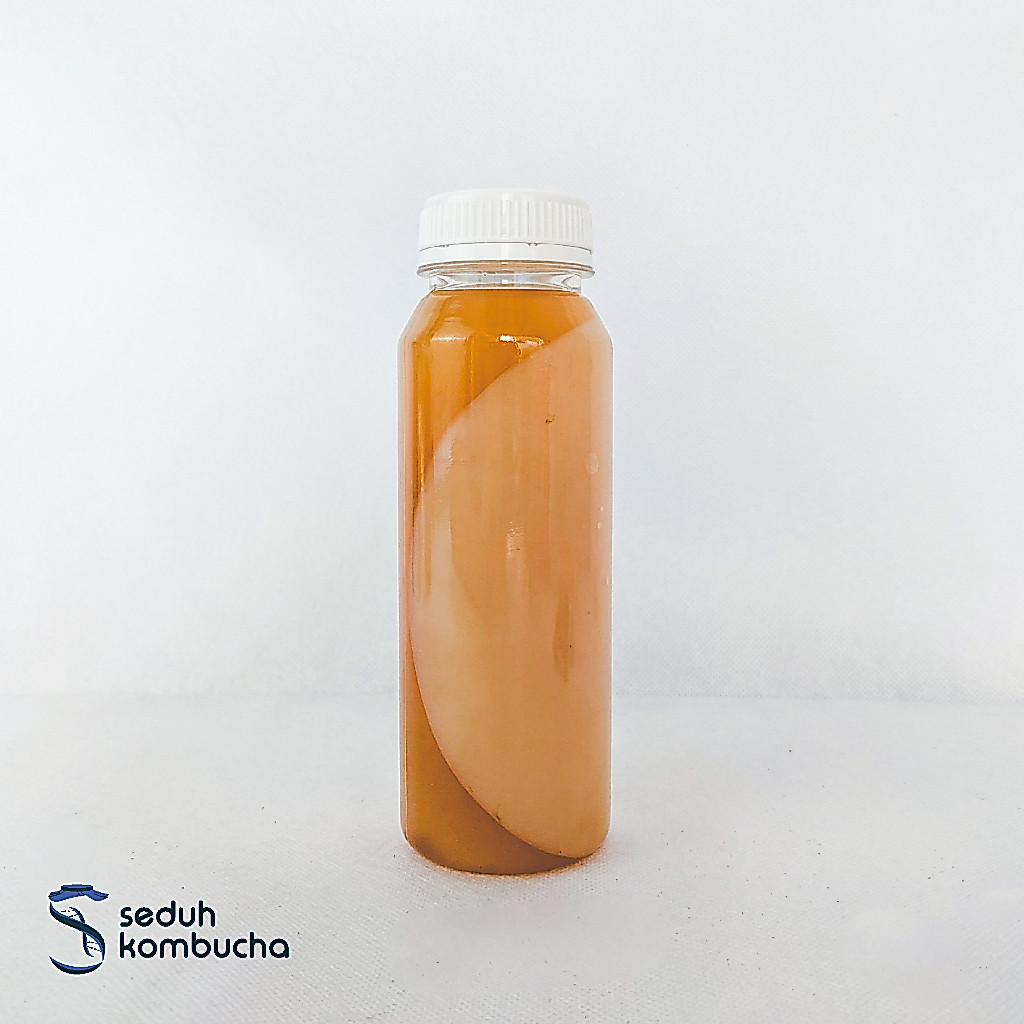 Scoby/Starter/Bibit/Jamur Kombucha