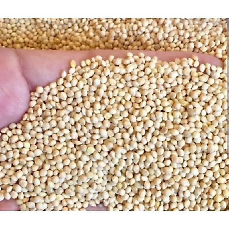 Milet putih 1kg
