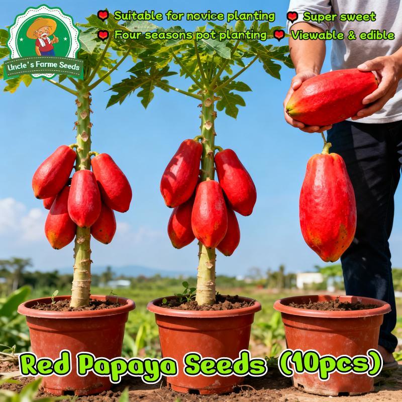 Fresh 10pcs Sweet Red Papaya Plant Seeds Red Lady Dwarf Papaya Seeds for Planting Fruits Bonsai Papa