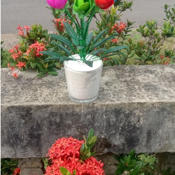 Bunga tulip akrilik