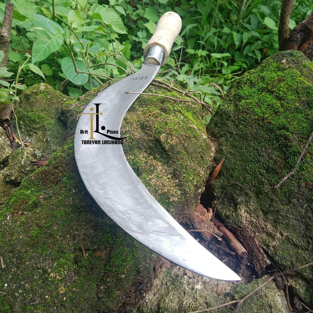 Lancor Arit Panjang Khas Madura Cap 555 Ukuran 51 Cm Arit Super Top Arit Rumput Panjang Baja Asli