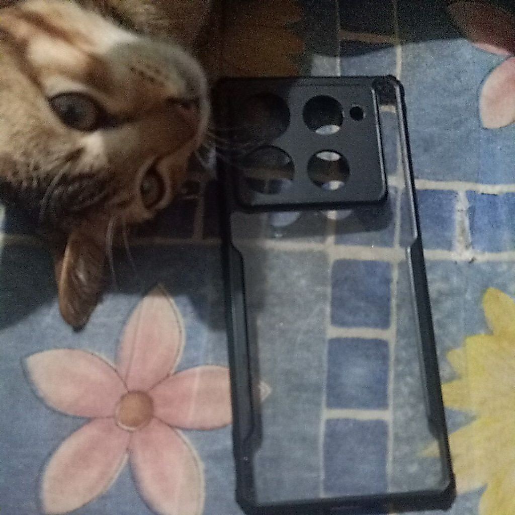 casing motorola