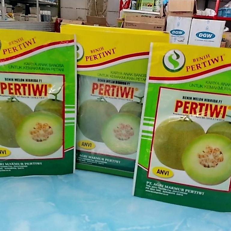BENIH MELON PERTIWI F1 13 GRAM