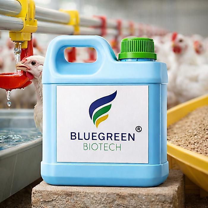 Promo Nitrobacter Ayam Bluegreen Biotech